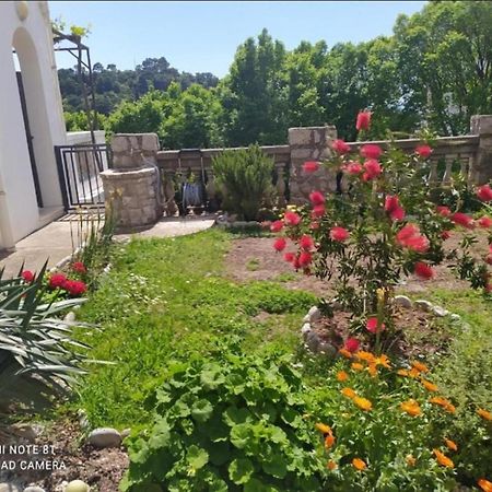 Apartmani Jovanovic Petrovac Екстер'єр фото