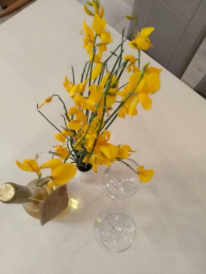 Apartmani Jovanovic Petrovac Екстер'єр фото